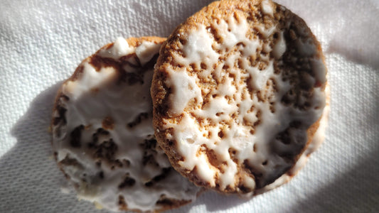 Old Fashion Iced Oatmeal Cookies